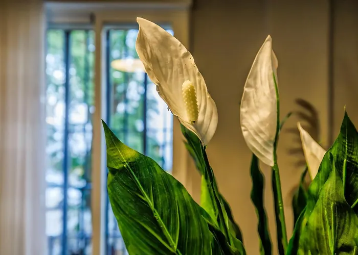 Brisa Del Sur * Córdoba